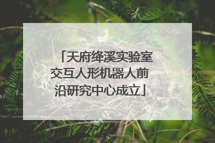 天府绛溪实验室交互人形机器人前沿研究中心成立