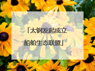 太钢发起成立船舶生态联盟