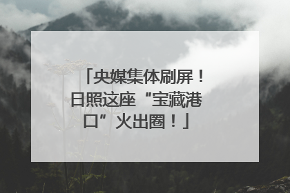 央媒集体刷屏！日照这座“宝藏港口”火出圈！