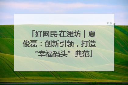 好网民·在潍坊｜夏俊磊：创新引领，打造“幸福码头”典范