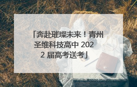 奔赴璀璨未来！青州圣维科技高中 2022 届高考送考