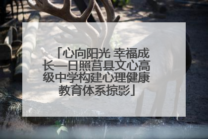 心向阳光 幸福成长—日照莒县文心高级中学构建心理健康教育体系掠影