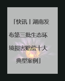 快讯丨湖南发布第三批生态环境损害赔偿十大典型案例