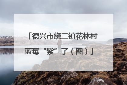 德兴市绕二镇花林村蓝莓“紫”了（图）