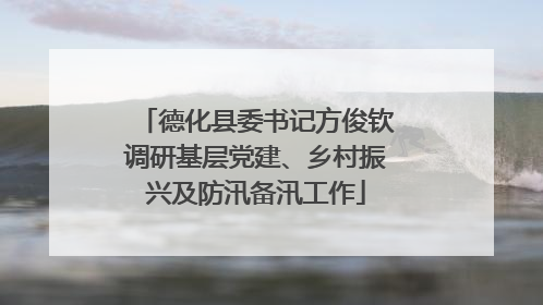 德化县委书记方俊钦调研基层党建、乡村振兴及防汛备汛工作