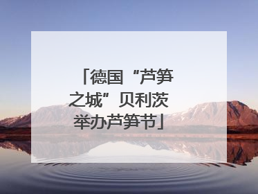 德国“芦笋之城”贝利茨举办芦笋节