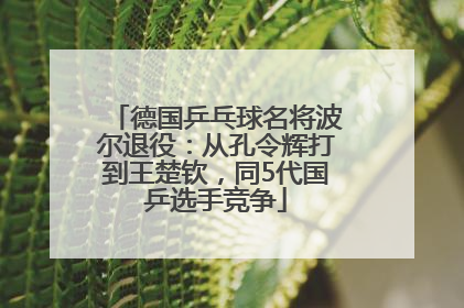 德国乒乓球名将波尔退役：从孔令辉打到王楚钦，同5代国乒选手竞争