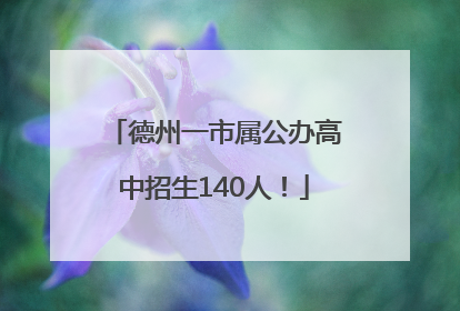 德州一市属公办高中招生140人！