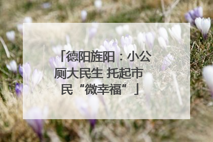 德阳旌阳：小公厕大民生 托起市民“微幸福”