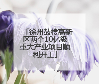 徐州鼓楼高新区两个10亿级重大产业项目顺利开工