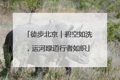 徒步北京｜碧空如洗，运河绿道行者如织