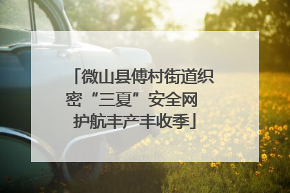 微山县傅村街道织密“三夏”安全网 护航丰产丰收季