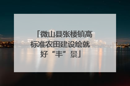 微山县张楼镇高标准农田建设绘就好“丰”景