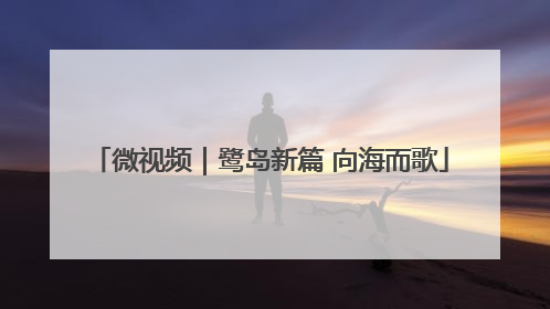 微视频｜鹭岛新篇 向海而歌