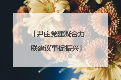 尹庄党建凝合力 联建议事促振兴