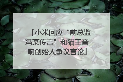 小米回应“前总监冯某传言”和猫王音响创始人争议言论
