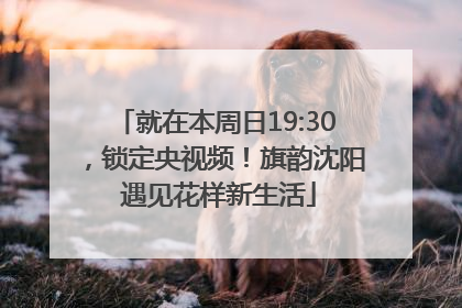 就在本周日19:30，锁定央视频！旗韵沈阳 遇见花样新生活