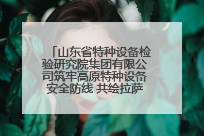 山东省特种设备检验研究院集团有限公司筑牢高原特种设备安全防线 共绘拉萨美好生活画卷