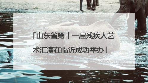 山东省第十一届残疾人艺术汇演在临沂成功举办