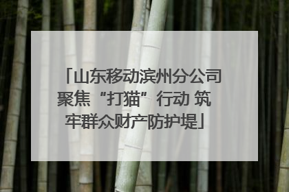 山东移动滨州分公司聚焦“打猫”行动 筑牢群众财产防护堤