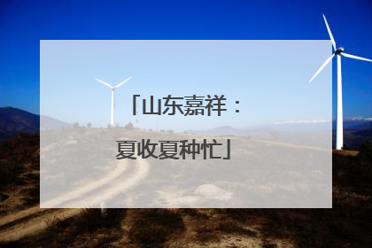 山东嘉祥：夏收夏种忙