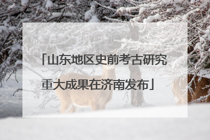 山东地区史前考古研究重大成果在济南发布