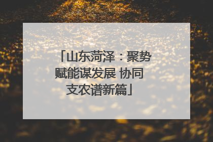 山东菏泽：聚势赋能谋发展 协同支农谱新篇
