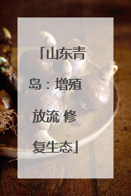 山东青岛：增殖放流 修复生态