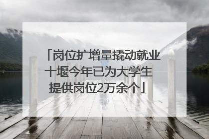 岗位扩增量撬动就业 十堰今年已为大学生提供岗位2万余个