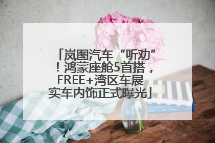 岚图汽车“听劝”！鸿蒙座舱5首搭，FREE+湾区车展实车内饰正式曝光
