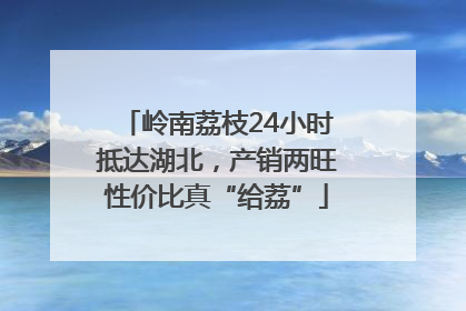 岭南荔枝24小时抵达湖北，产销两旺性价比真“给荔”