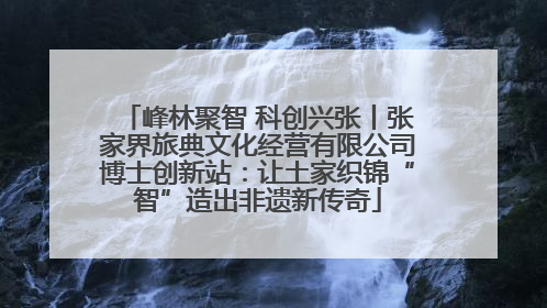 峰林聚智 科创兴张丨张家界旅典文化经营有限公司博士创新站：让土家织锦“智”造出非遗新传奇
