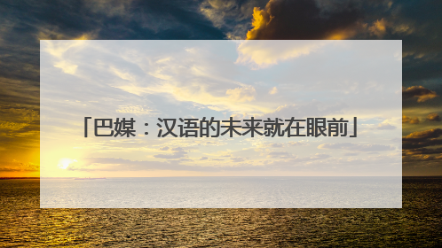 巴媒：汉语的未来就在眼前