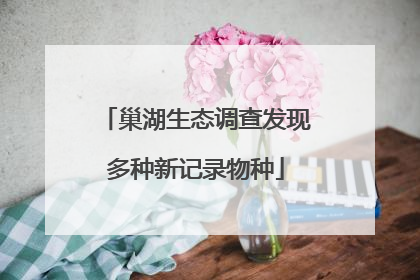 巢湖生态调查发现多种新记录物种