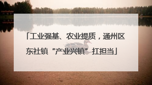 工业强基、农业提质，通州区东社镇“产业兴镇”扛担当