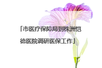 市医疗保障局到株洲恺德医院调研医保工作