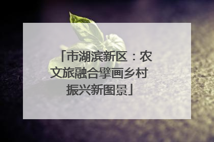 市湖滨新区：农文旅融合擘画乡村振兴新图景