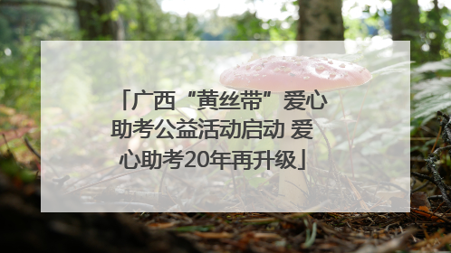 广西“黄丝带”爱心助考公益活动启动 爱心助考20年再升级