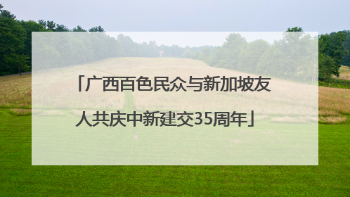广西百色民众与新加坡友人共庆中新建交35周年