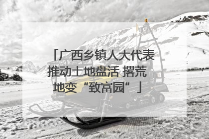 广西乡镇人大代表推动土地盘活 撂荒地变“致富园”