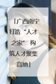 广西南宁打造“人才之家” 构筑人才聚集高地