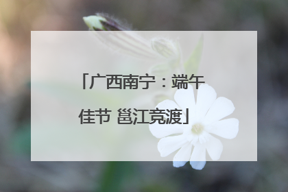 广西南宁：端午佳节 邕江竞渡