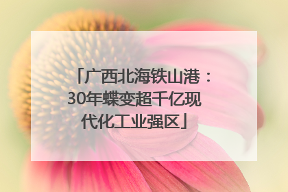 广西北海铁山港：30年蝶变超千亿现代化工业强区