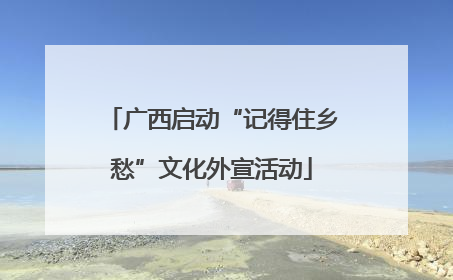 广西启动“记得住乡愁”文化外宣活动