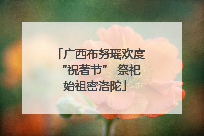 广西布努瑶欢度“祝著节” 祭祀始祖密洛陀