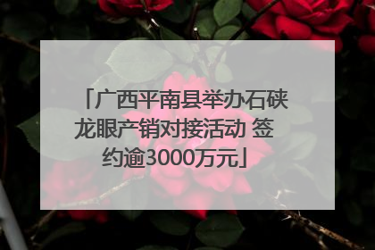 广西平南县举办石硖龙眼产销对接活动 签约逾3000万元