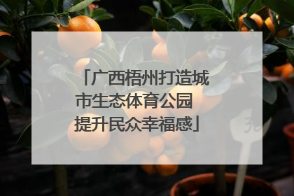 广西梧州打造城市生态体育公园 提升民众幸福感