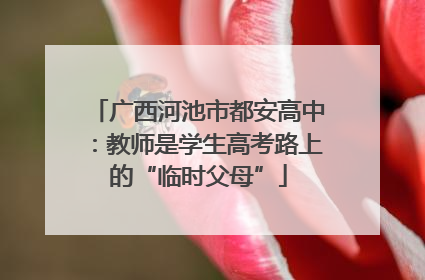 广西河池市都安高中：教师是学生高考路上的“临时父母”