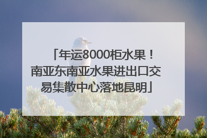 年运8000柜水果！南亚东南亚水果进出口交易集散中心落地昆明