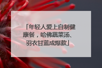 年轻人爱上自制健康餐，哈佛蔬菜汤、羽衣甘蓝成爆款